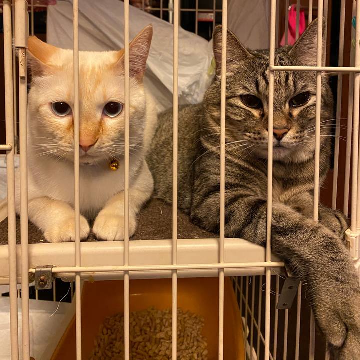 2cc0f89f d124 4186 a950 1fd0eaf4ebab 1608377660894