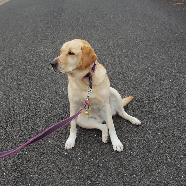 2cc0f924 5f4a 482c 86fb 5af4f2fd5dd1 1517451269515