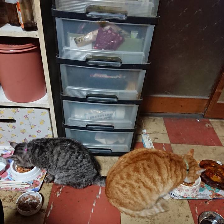 2cc1165f 904c 4575 bdf4 f75f9aa6d373 1583916645956