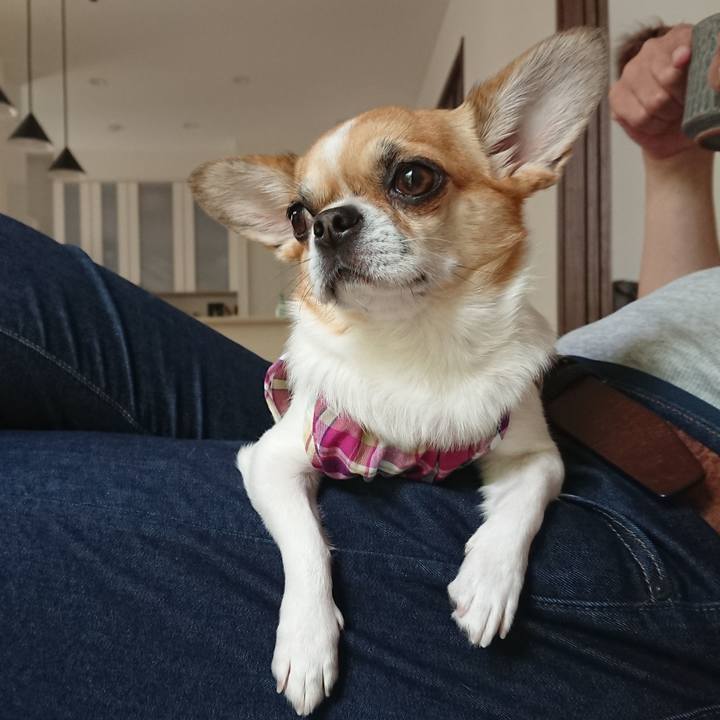 2cc12115 07f5 4ea8 a9c3 fc452fb8619f 1620539300793