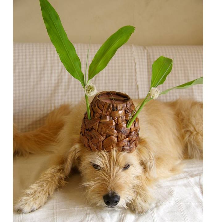 2cc13e6b f51c 466a ba5a b68a230b597f 1537005885727