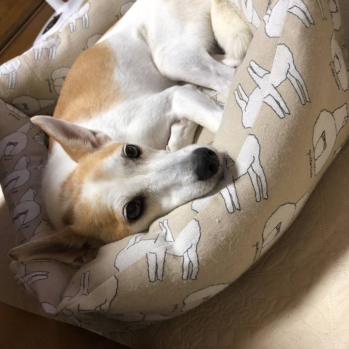 2cc14be1 c937 4d59 a816 96d4f7fca1ed 1599629725430