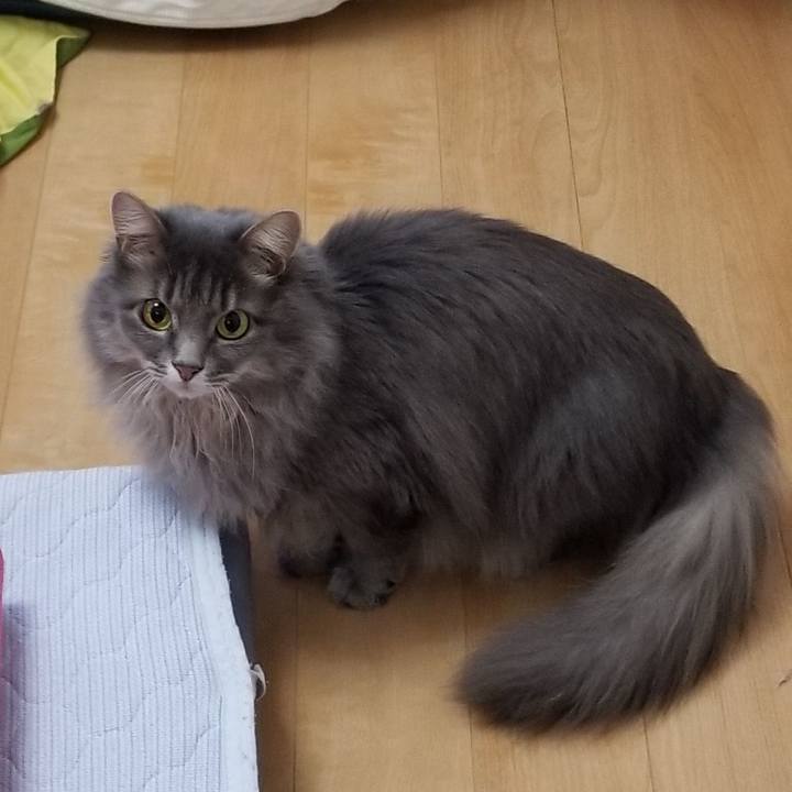 2cc19d06 a734 4319 8b51 5a16e82c7f02 1542757644827