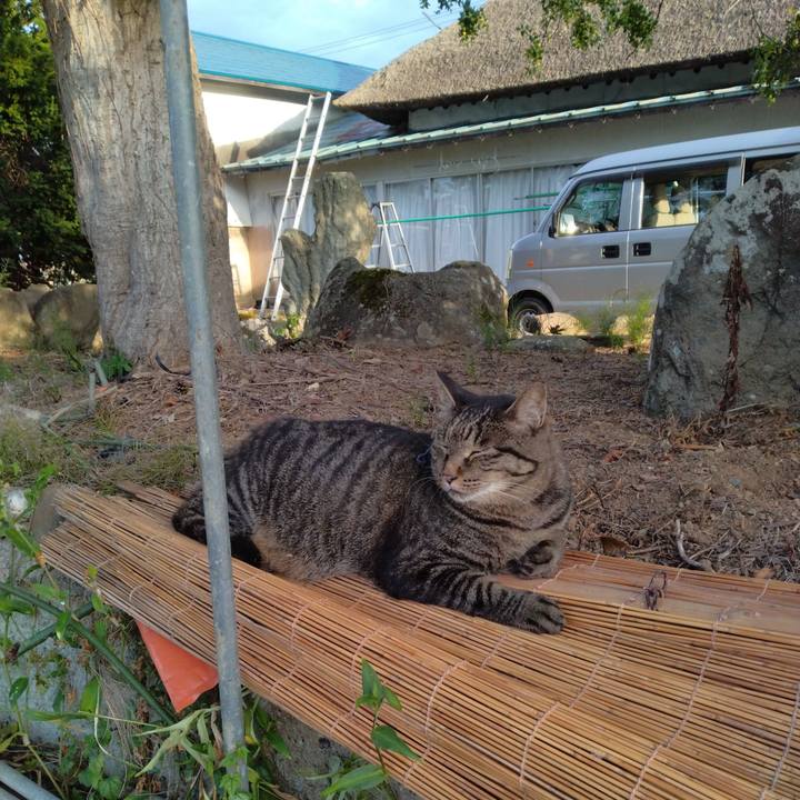 2cc1b7cf e50a 4e82 8a5c 4883336648a5 1693611233205