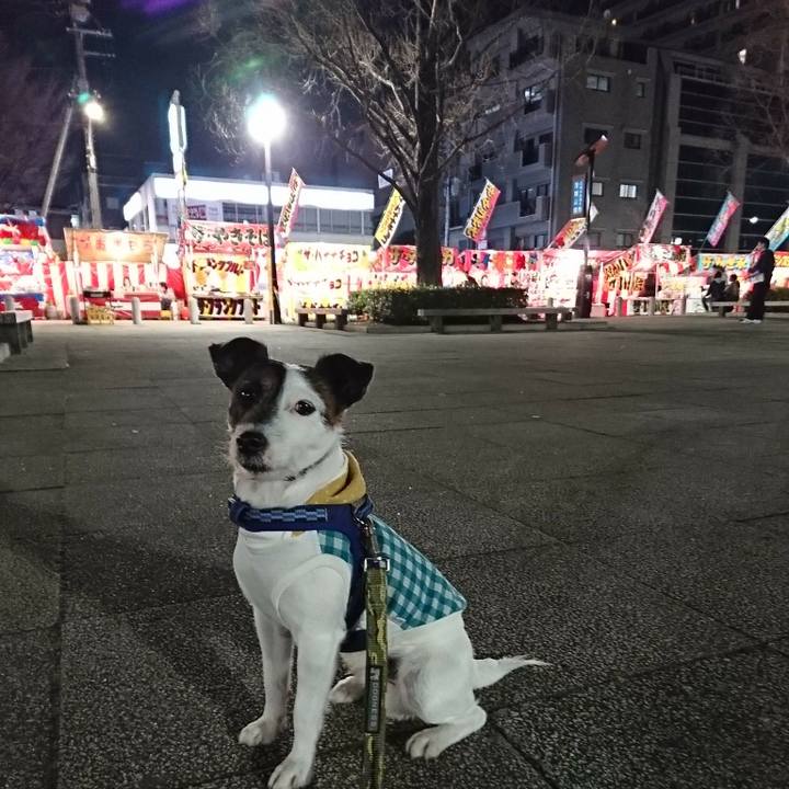 2cc237e3 68f3 4ace ac6d edc25ea6d9bc 1521973381070