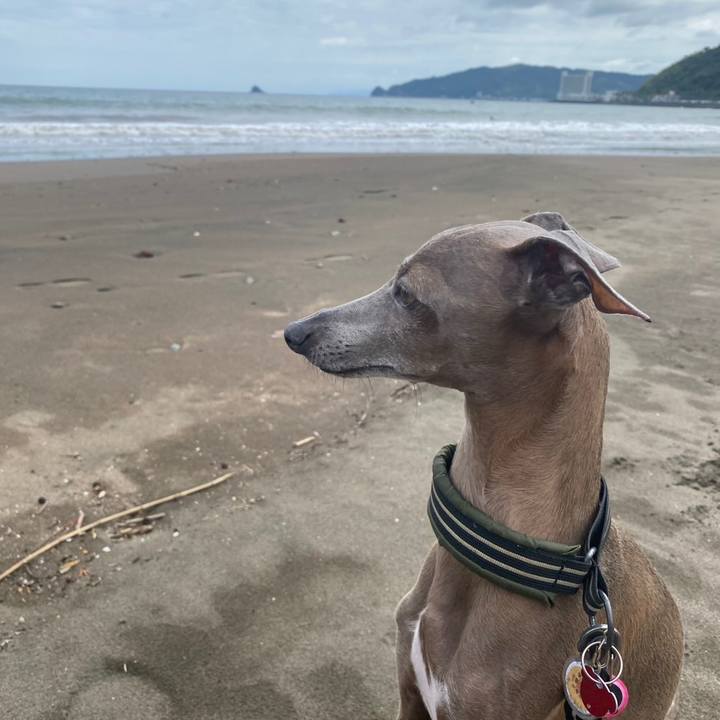 2cc257ed d135 444c b2d8 358b410495b7 1758251345004