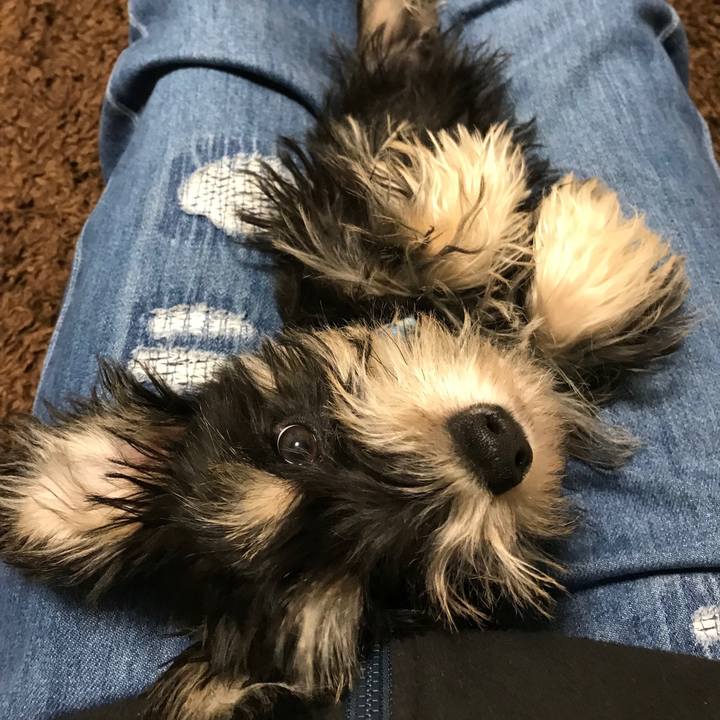 2cc26287 e023 4d33 bd1b 729374685c9d 1550137508784