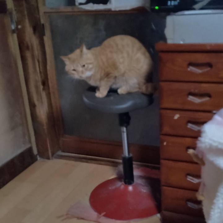 2cc26cc6 98d2 4b67 b632 a5b59ec6c0e7 1667945232520