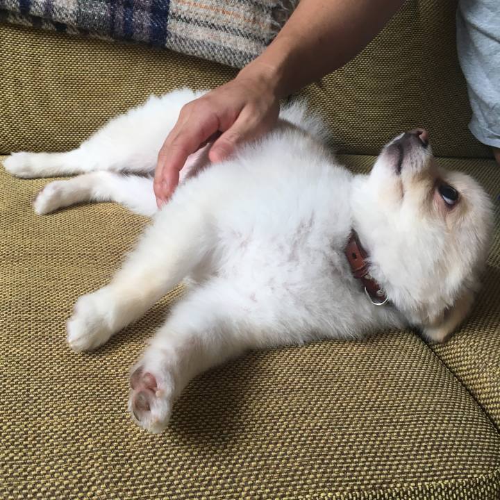 2cc2b22c 0374 4161 92fe 6e952cdf1d94 1535865460310