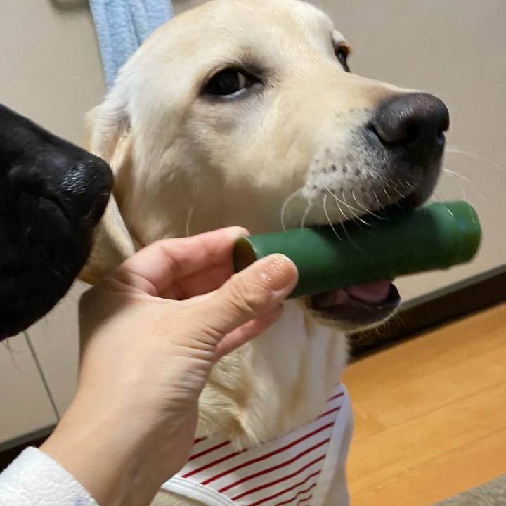 2cc2bbb2 e0c3 4647 ada3 bae652fb7327 1618008448387