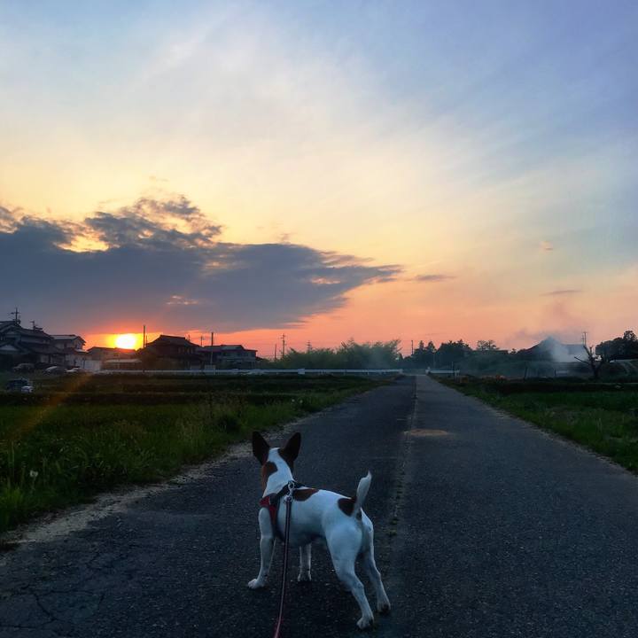 2cc2c08d 4255 4fd3 bfd4 df13956c945e 1523268035140