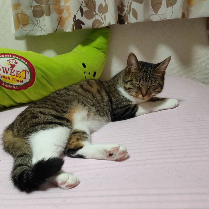 2cc3035b b792 4e9e 9d90 0aba31931b0d 1661870457276