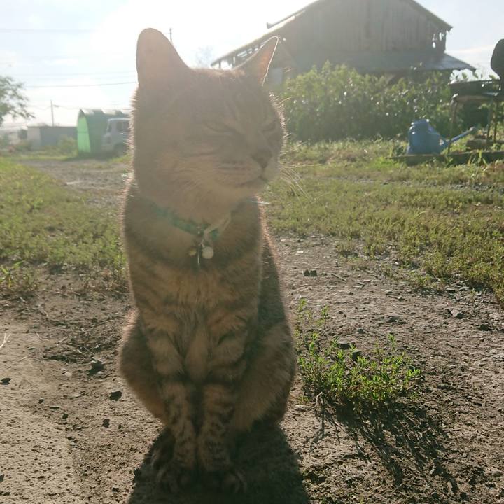 2cc3050b 0a0c 4370 8285 d9b9ec8b755e 1567907665581