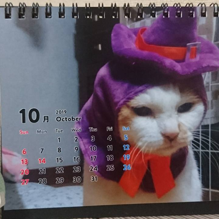 2cc3345a 589e 4fcc b8e0 1be002ce1d76 1570261457214