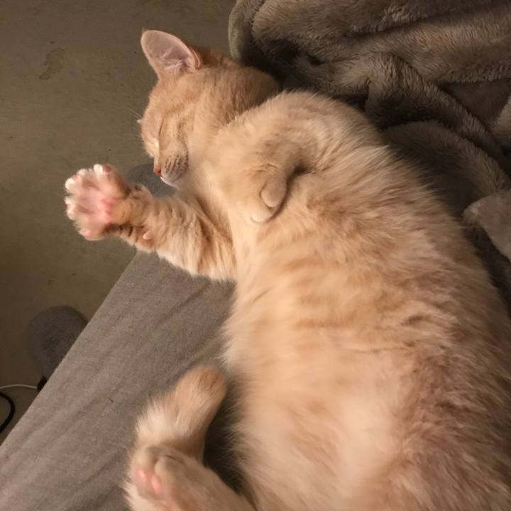 2cc34092 0a1d 42b8 b178 d759bf79097c 1518222726749