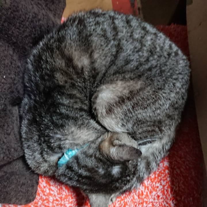 2cc34215 bad8 4ce3 ac5f 3daee37e7b3a 1553205038203