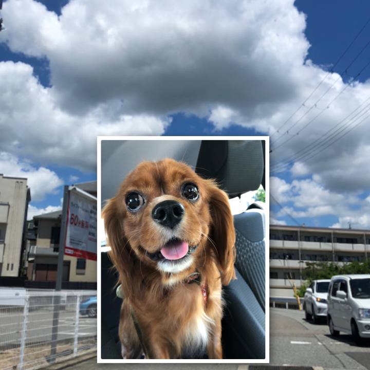 2cc3b11f f0e5 4bd5 992f 2d73ffdf123b 1532155148455