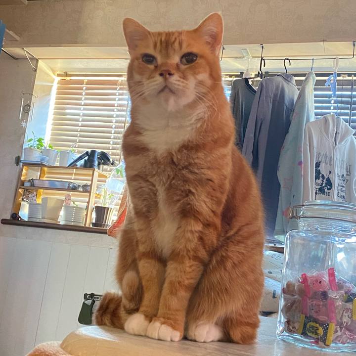 2cc3b271 1b53 4952 9319 ae9e4210afb5 1614467289257