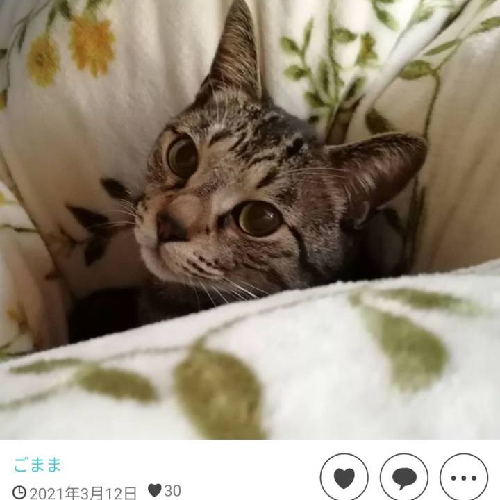 2cc40072 78dc 4af2 a742 de26aa90dd1e 1761563214335