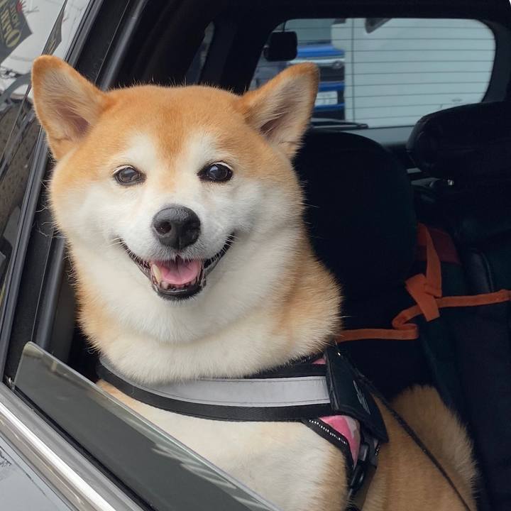 2cc40e9a de21 45e9 a8f2 cb388a0baae0 1663023431691