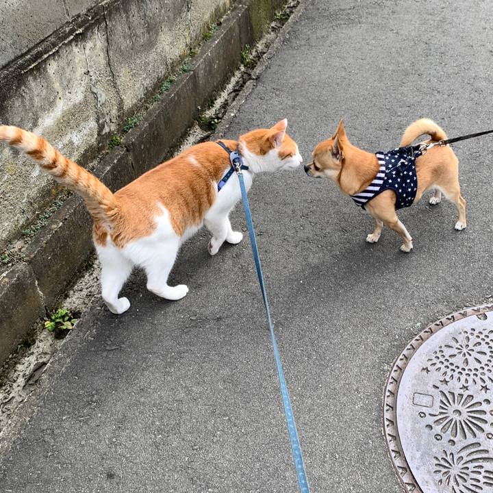 2cc419ae 74f1 4acc 9632 173684ec118e 1573102621682