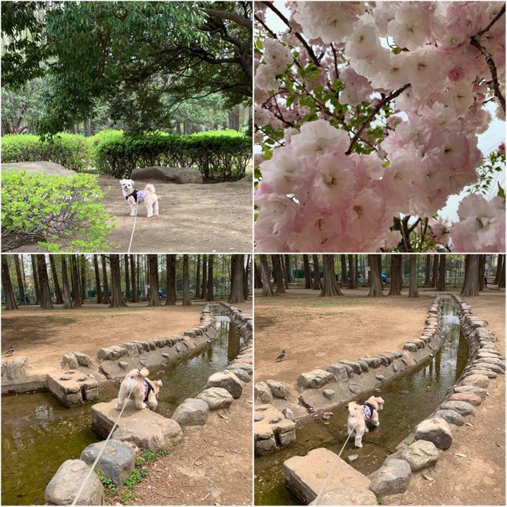 2cc42d20 6768 4fa1 9ad9 c8d17dd25040 1555498492059