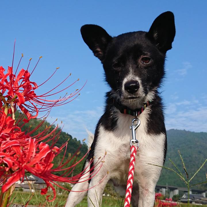 2cc4486f 0fae 4b42 ab90 c15a72bd383f 1569929278486