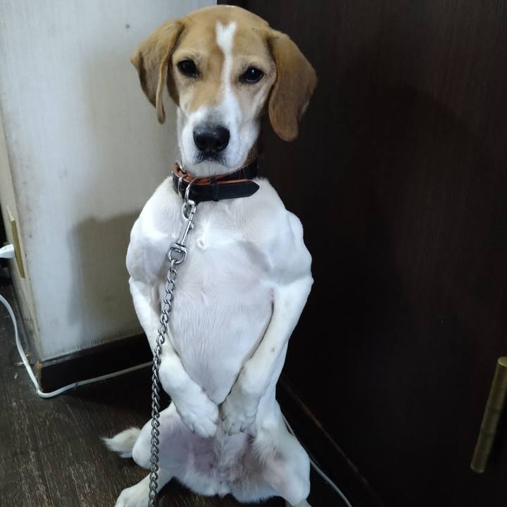 2cc46209 ba6b 4e0c 9985 4ff508e95a7f 1643011409224