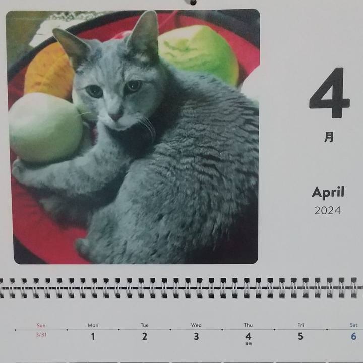 2cc4bda1 58a7 4a32 a3c9 df5c9e8c557e 1711935682342