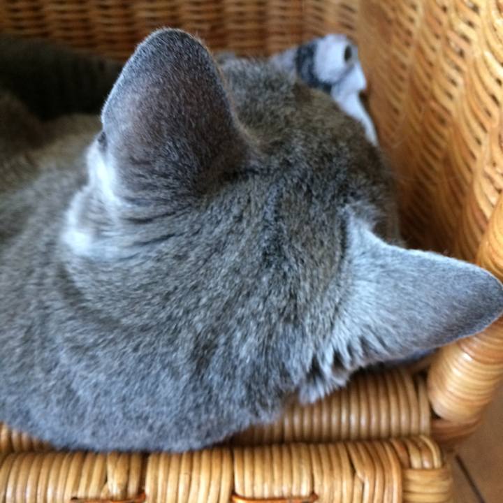 2cc51d0b 3f94 4abb a750 1da911c91305 1534891041944