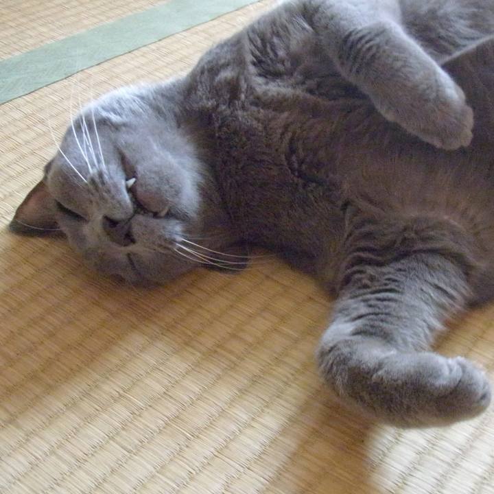 2cc5702e 9209 4c8c ad27 2ffea2ce1374 1530227367301