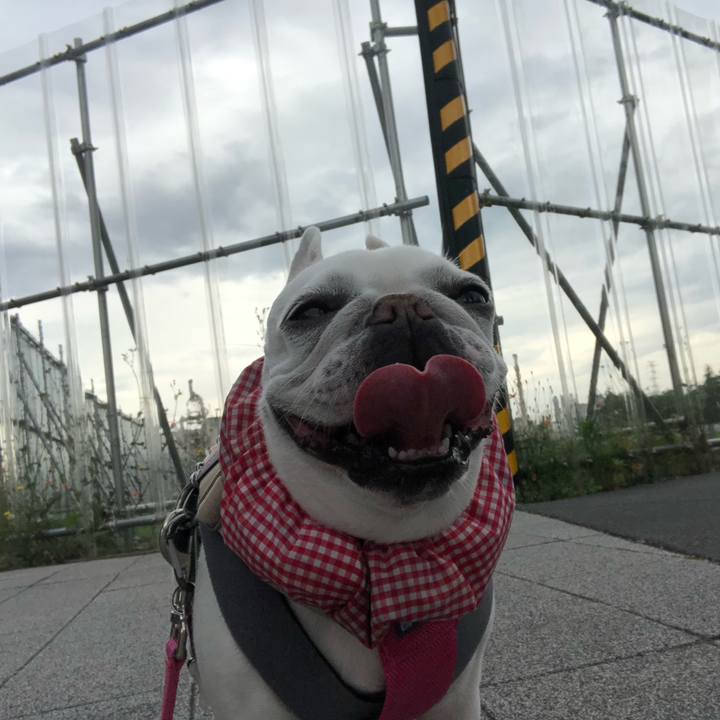 2cc5a11b 91ab 4d92 8f9b e2e8022ad052 1683426335796