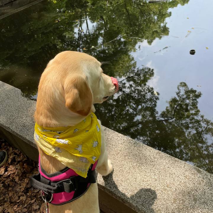 2cc5a13a c275 4551 a2c2 7ba54f023c4b 1621920261023