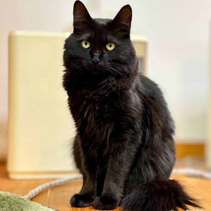 2cc5c759 3eab 43af b8a1 8bb63836c315 1772974761774