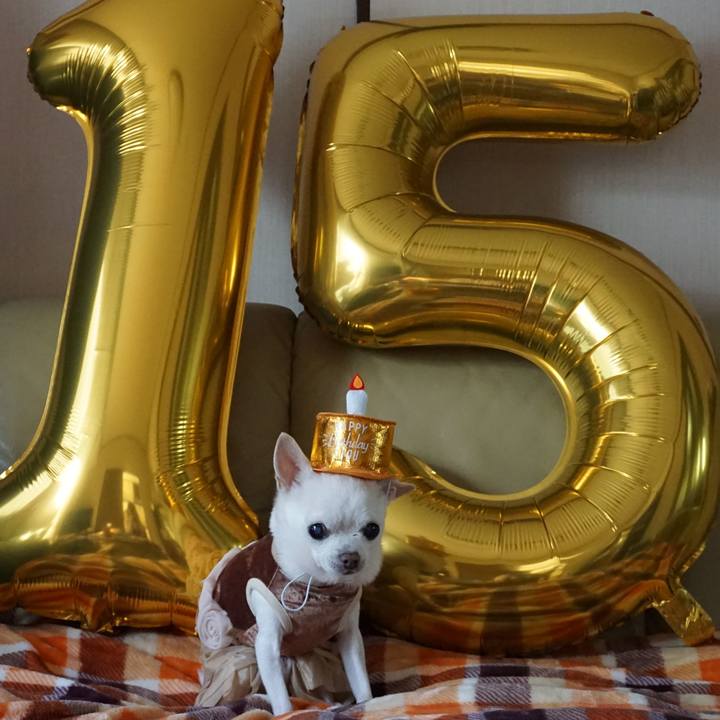 2cc5dd50 d305 4015 82af 61abc43de2fc 1551304458988