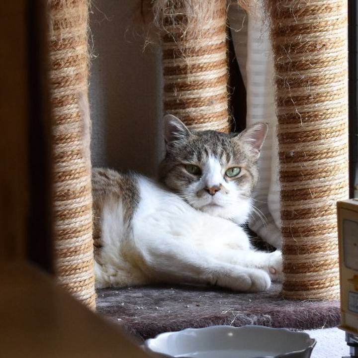 2cc5e767 0648 4e29 b54c c2b8810759c0 1747116585029