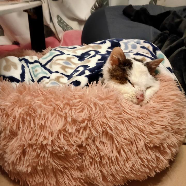 2cc5e9ed 7653 419f 825b f5f1c82492e7 1611372737666