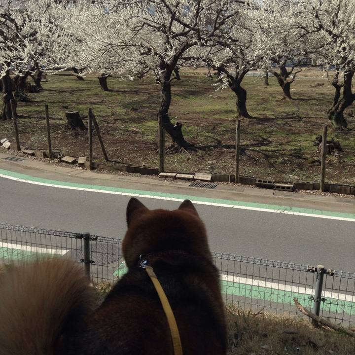 2cc5f0eb a64d 4d5d a54f 82cb83651cf1 1520403487168