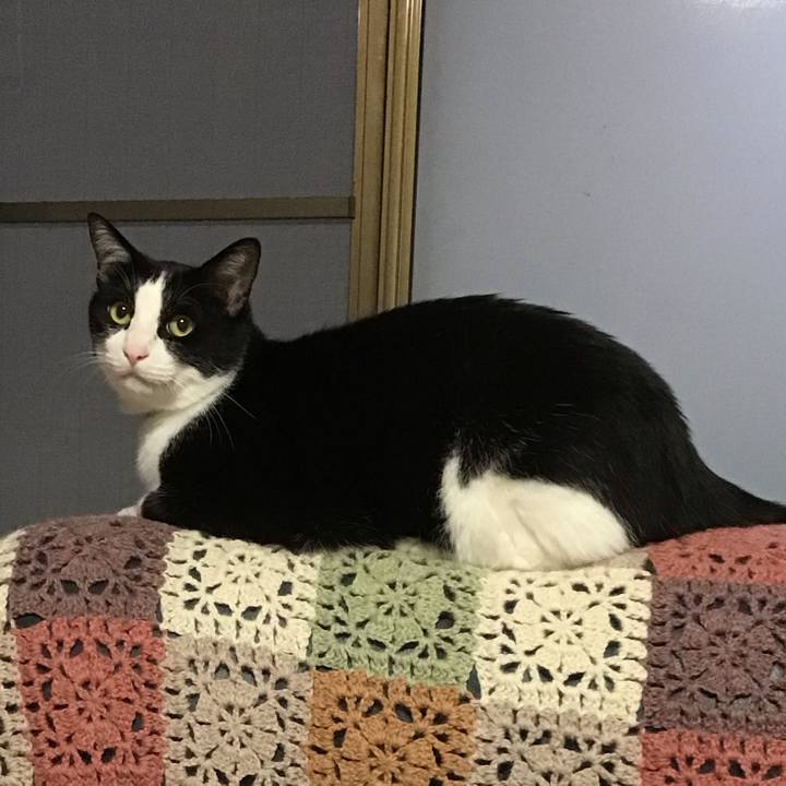 2cc6001d 4621 4fd0 9d78 e6f33c74eb8e 1686227830620