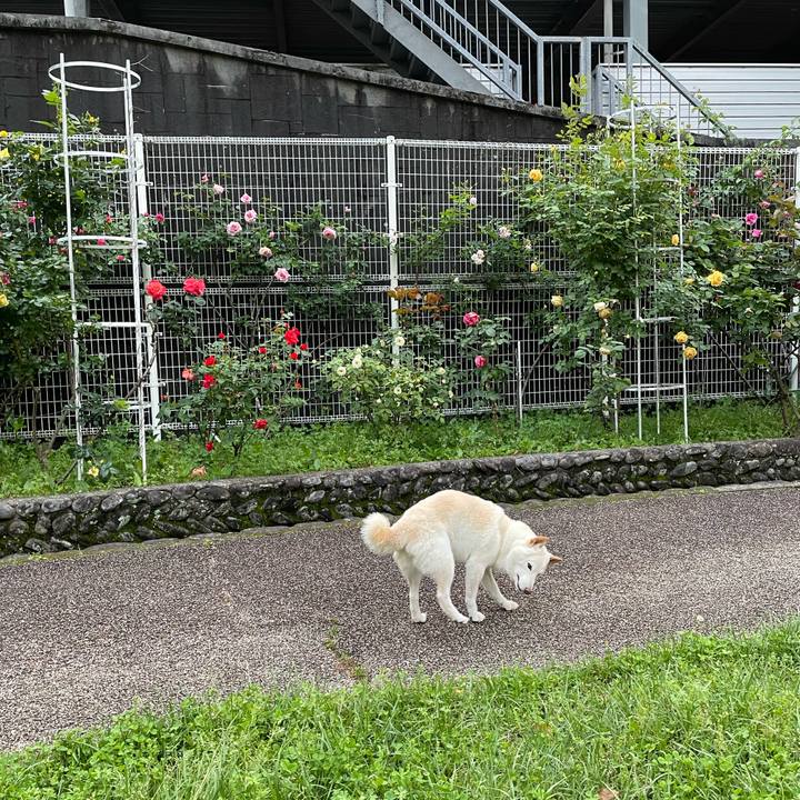 2cc682a1 baa7 4ae5 8165 93986cc7b747 1651329930920