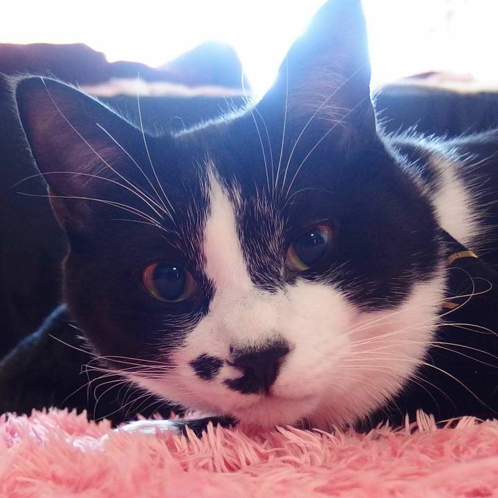 2cc6ab8e 719a 4dff 95ae 5f9db9713de6 1509200409533