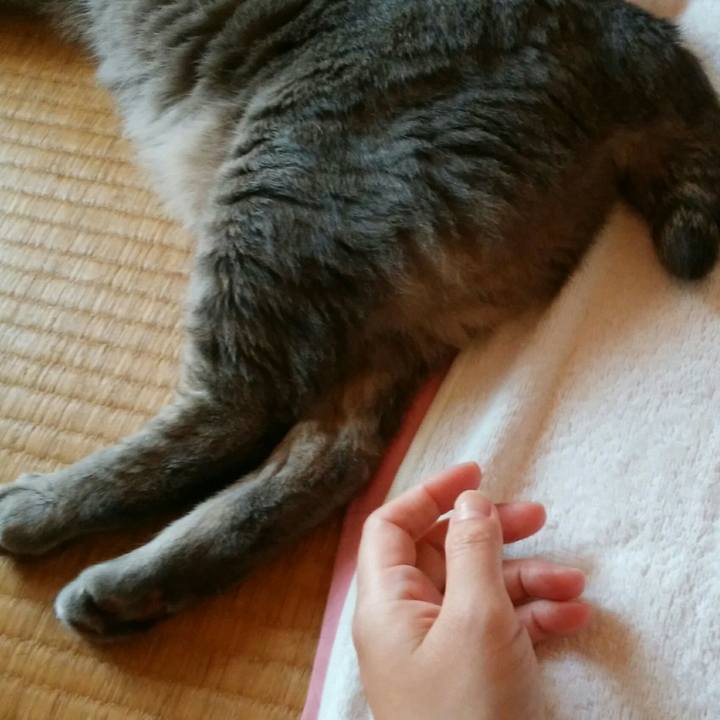 2cc6d80a 4532 48a6 8fd8 e9d338898be1 1569116802430