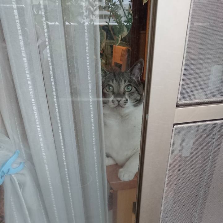 2cc6daf3 fab3 4cc6 812f 9d9a0c82782c 1556233622199