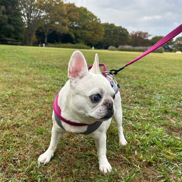 2cc6e5e1 1f45 4bee 86bd 81a25f1a09c6 1730693083868