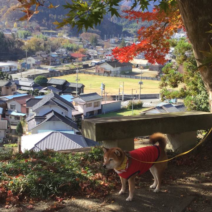 2cc6f1df e9c7 4d3d 92ea aa4caeeefdc3 1575190963005