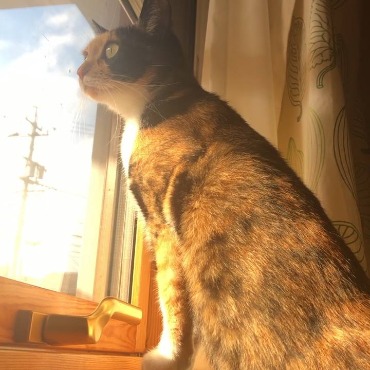 2cc6fdb0 908b 41bf 9ddc 4ad8c1ee2b44 1572478562248