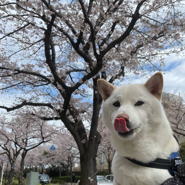 2cc6fec6 a492 4a1a ba9d 8d1c87eadbd6 1648354909154