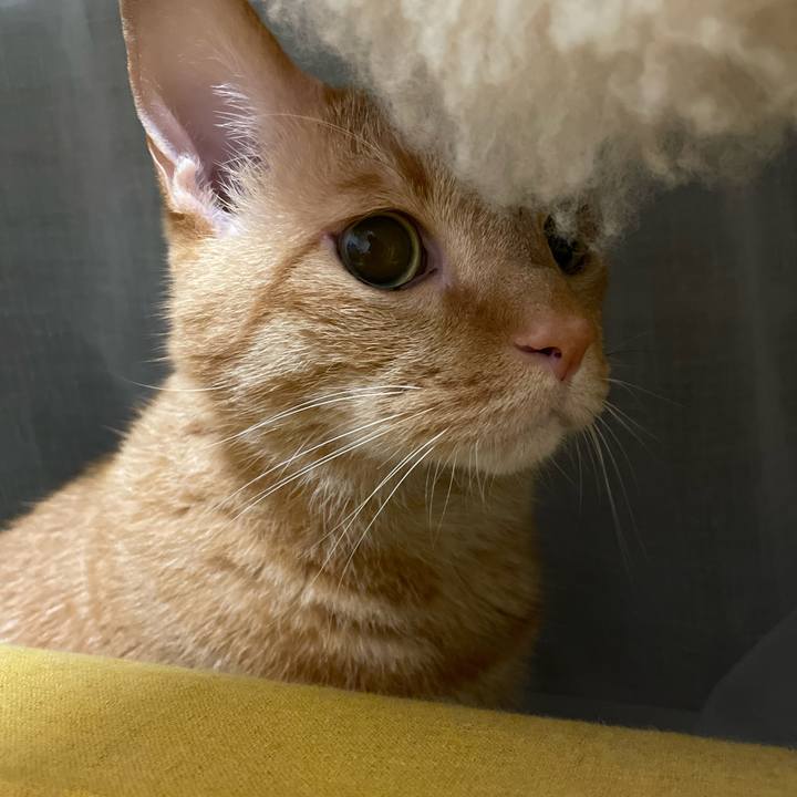 2cc71aab 87d3 4956 b644 7c2ffb211707 1720004983317