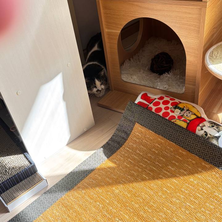 2cc771da 0068 4f4e 83ed 646daf64edca 1772775004142