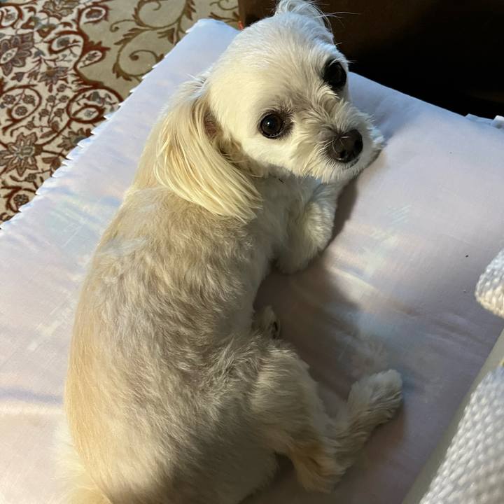 2cc772b8 3693 48bb aa58 50ed6ea5cad8 1692789812543